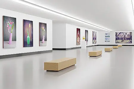 Moderne Kunstgalerie Mit Bildern